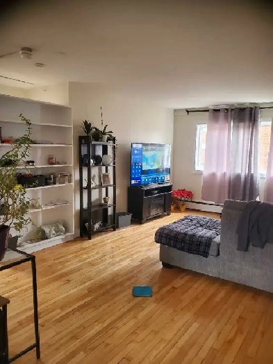 2 Bedroom in Carlington May or June 1st Image# 5