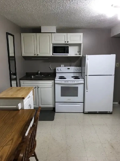 ONE BLOCK TO SASKPOLYTECH, 1 BEDROOM BSMT SUITES Image# 2