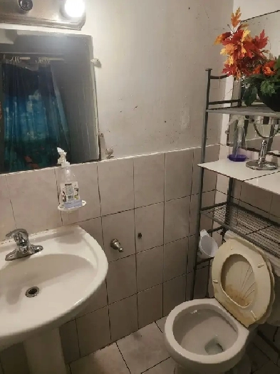 Privare Room for Rent. Image# 1