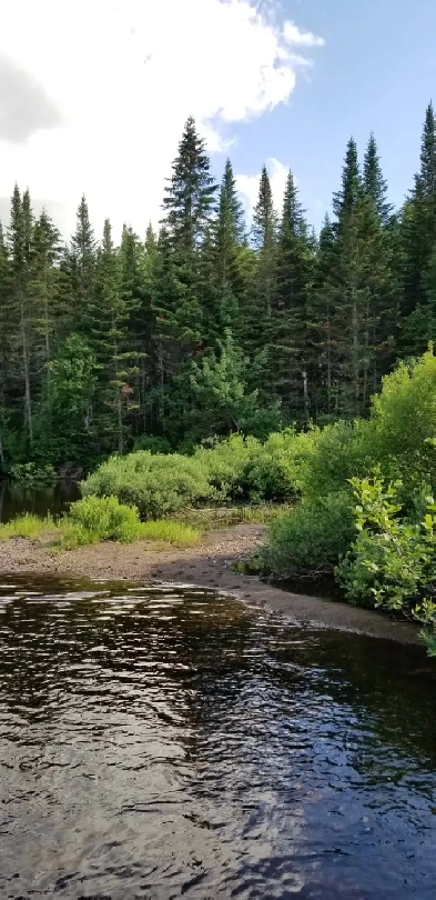 Terrain à vendre au bord d’une petite rivière Image# 6