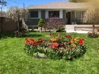 Super Large Beautiful Room avail. Hwy#7/McCowan Rd Image# 8