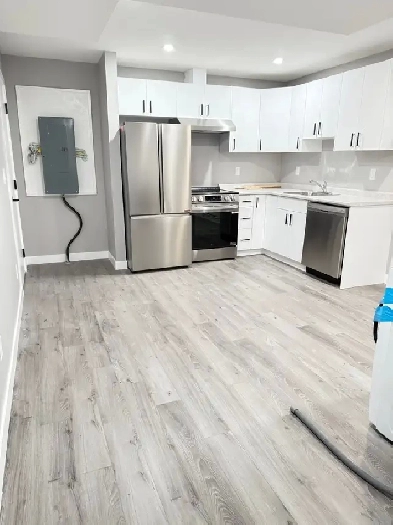 BASEMENT FOR RENT IN BRIGHTON Image# 1
