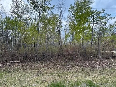 70 Aspen Dr, Hillside Beach - beautiful mature treed corner lot! Image# 7