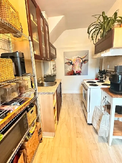 June 1st Bathurst and Bloor 1 bedroom main floor Image# 7