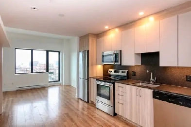 2 bed, 1 bath apartment in Plateau Mont-Royal Image# 10
