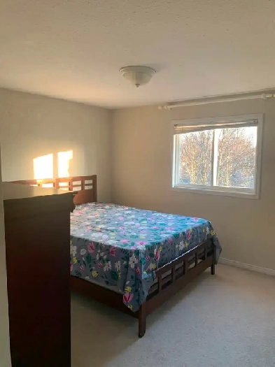 Single bed room for rent Image# 9