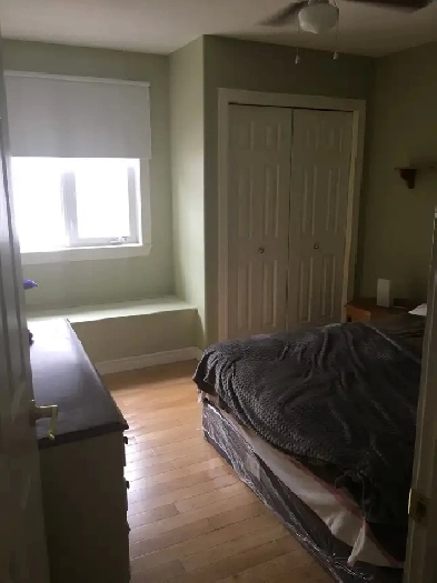 Room For Rent Image# 1