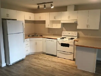 NEWLY RENOVATED Eaux Claires 16221 95 street Image# 1