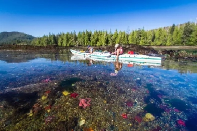 Looking for room rental. Image# 1