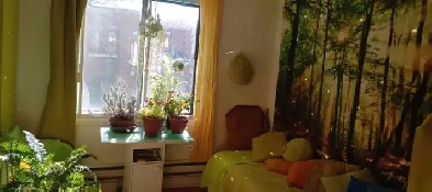 Chambre pour garcon calme Image# 1