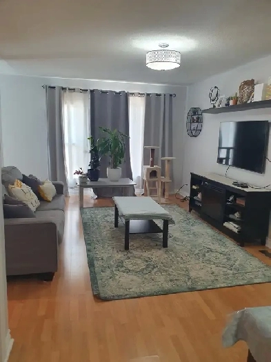 Gorgeous 1 Room for rent! Image# 1