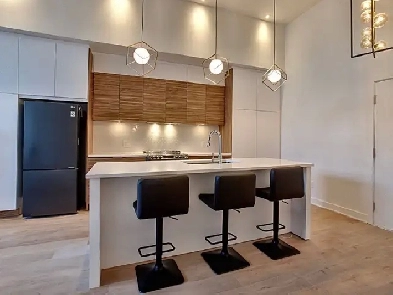 Spacieux condo neuf 3 1/2 au cœur de Rosemont La-Petite-Patrie Image# 1