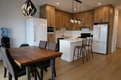 Spacieux logements 3 chambres 2022 St-Hyacinthe 1ER JUILLET Image# 2