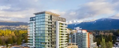 Newly Renovated Units! Image# 1