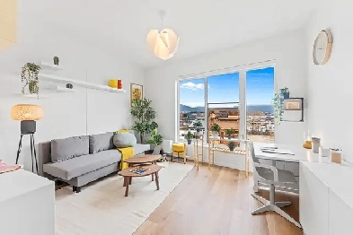 Brand New Pet Friendly Studio Rentals at Chroma Off Main in Sout Image# 12