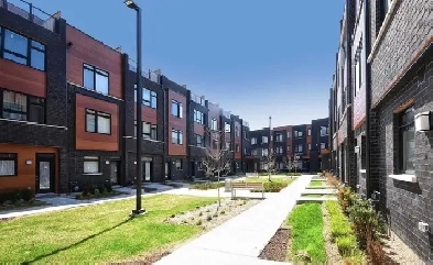 rent 3 bdr townhouse in Richmond hill Yonge/16th Image# 1