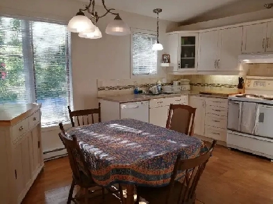 Beautiful home to share (women only) working or studying $650 Image# 1