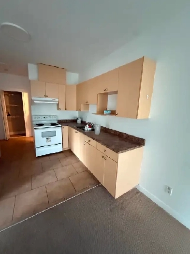 Spacious 2 bed 1 bath basement suite for rent Image# 3