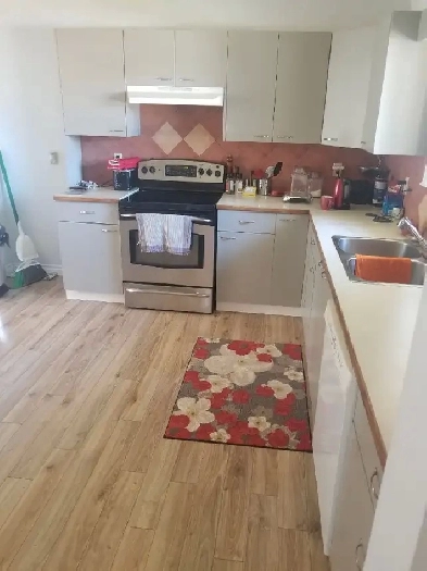 Roommate wanted Image# 4