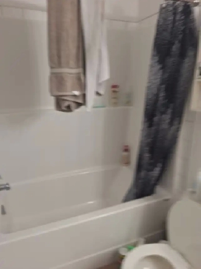 ROOM FOR RENT IN EASTON OFF MCLEOD/sprucegrove Image# 1