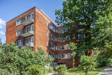 1 bedroom apartment near HEC & Cote-des-Neiges metro - ID 3864 Image# 1