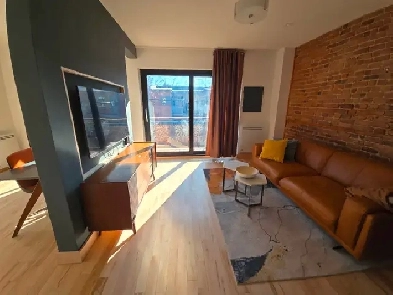 Magnifique 4 1/2 meublé et équipé - Plateau Image# 1