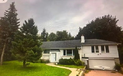 Apartment for Rent Image# 1