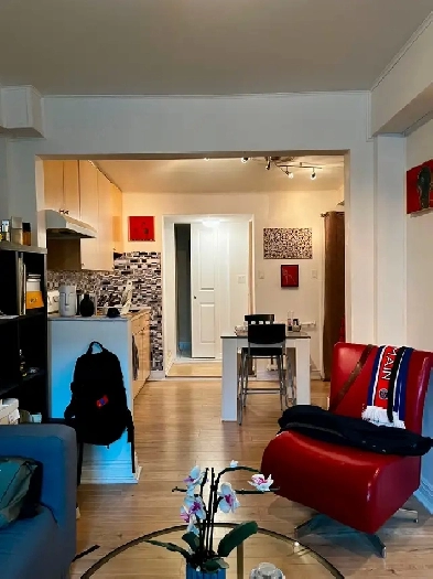 Joli 2 1/2 semi-meublé,rénové. INCLUS CHAUFFAGE ET ÉLECTRICITÉ Image# 1