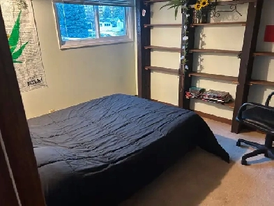 Large furnished main floor room in Varsity near LRT, UC & SAIT Image# 1