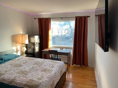 Room with big TV and small fridge - H1L 5P2 Image# 1