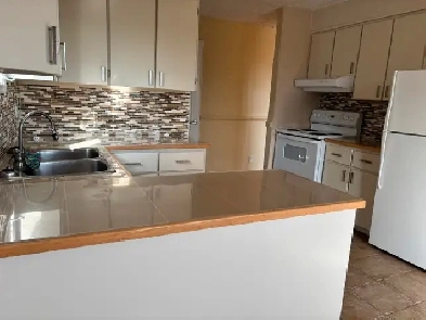 3 bedroom main level of house plus rec room Image# 8