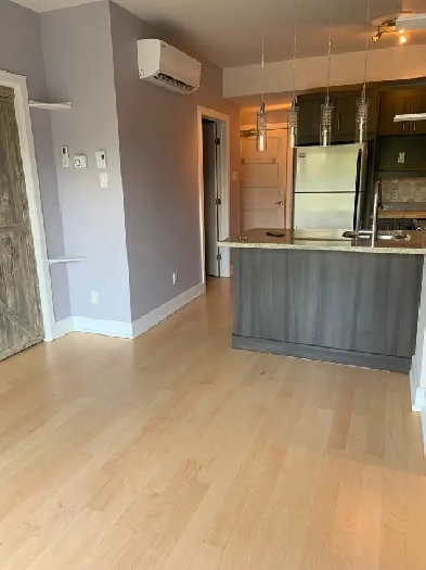 À louer – 3 ½ lumineux sur la 9e Avenue, Rosemont Image# 1