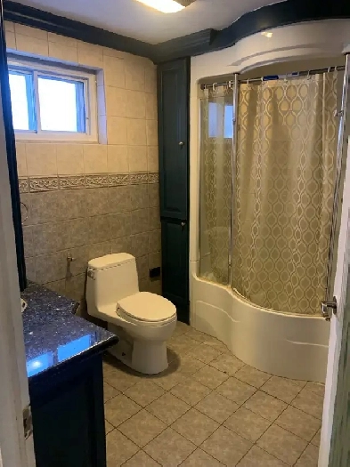 Très beau 31/2 à Mercier Montreal à louer Image# 1