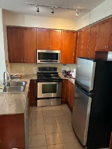 Roommate Pvt Room in Condo Sq 1 $1100 Image# 1