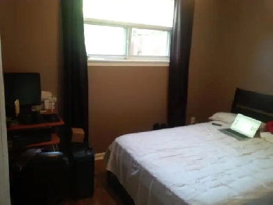 Private Room in walkout Basement - Mississauga Image# 1