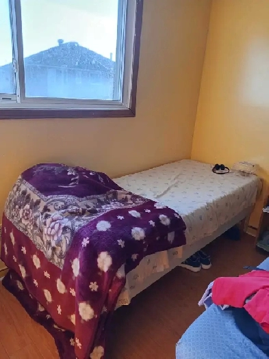 Room for girls $450/- Sheridan Brampton Image# 1
