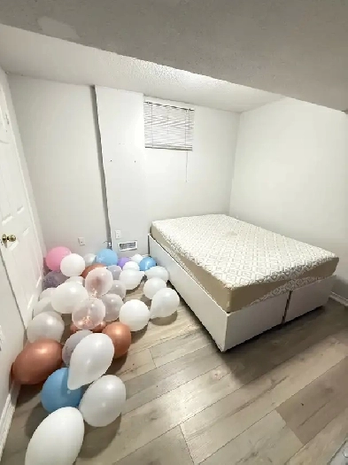 Romm for rent in basement Image# 1