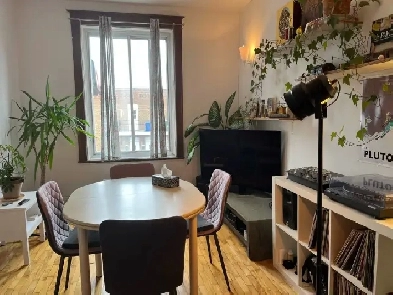 URGENT cherche coloc pour le 1er mai ds un super 5 1/2 à Verdun! Image# 1