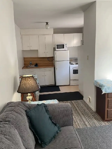 AVAILABLE BEAUTIFUL STUDIO APARTMENT WOLSELEY AREA Image# 1