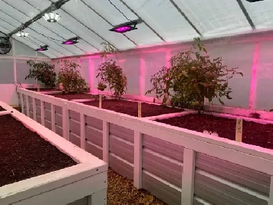 Hobby Farm For Sale Image# 15