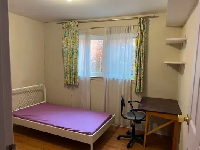 10 min Bus 2 Finch Stn/Seneca, 2 furnished Rooms Image# 1