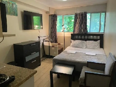 Furnished junior studio, Dundas/College Station, TMU, May 1 Image# 6