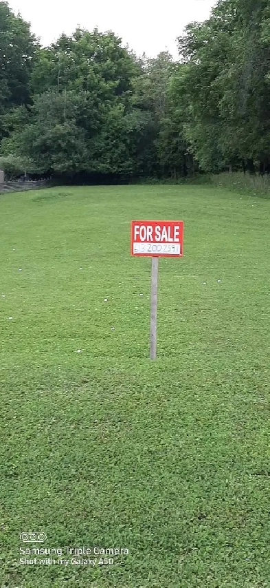 Land for sale Image# 1