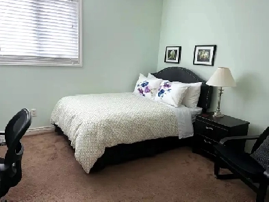 NORTH YORK AIR CONDITIONED FURNISHED ROOM - MALE GUEST Image# 8