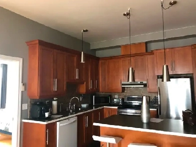 41/2 Ascenseur, a/c, 4 électros, 1er mai 1650$/mois Image# 1