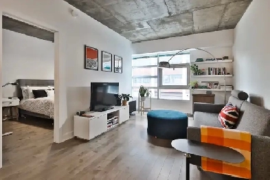 Très beau 3 ½ à louer Petite Italie Image# 1