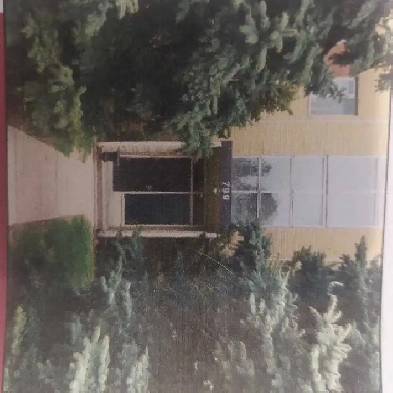 Bright -Clean-2 Bedroom  Apt - for Rent Image# 1