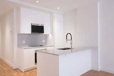 Renovated 1 bed plus den near Cote-des-Neiges metro - ID 2081 Image# 1