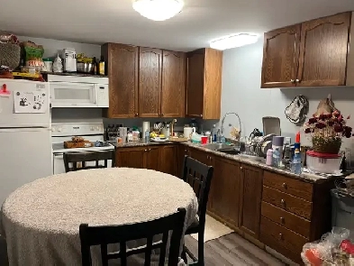 One bedroom one bath apartment Image# 2