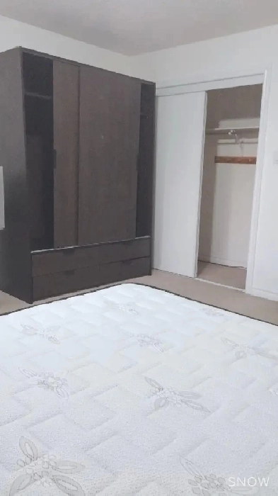 great room for rent ( female ) Image# 2